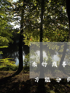 未形成事實婚姻的同居雙方，一方死亡后另一方能分得其遺產(chǎn)嗎？